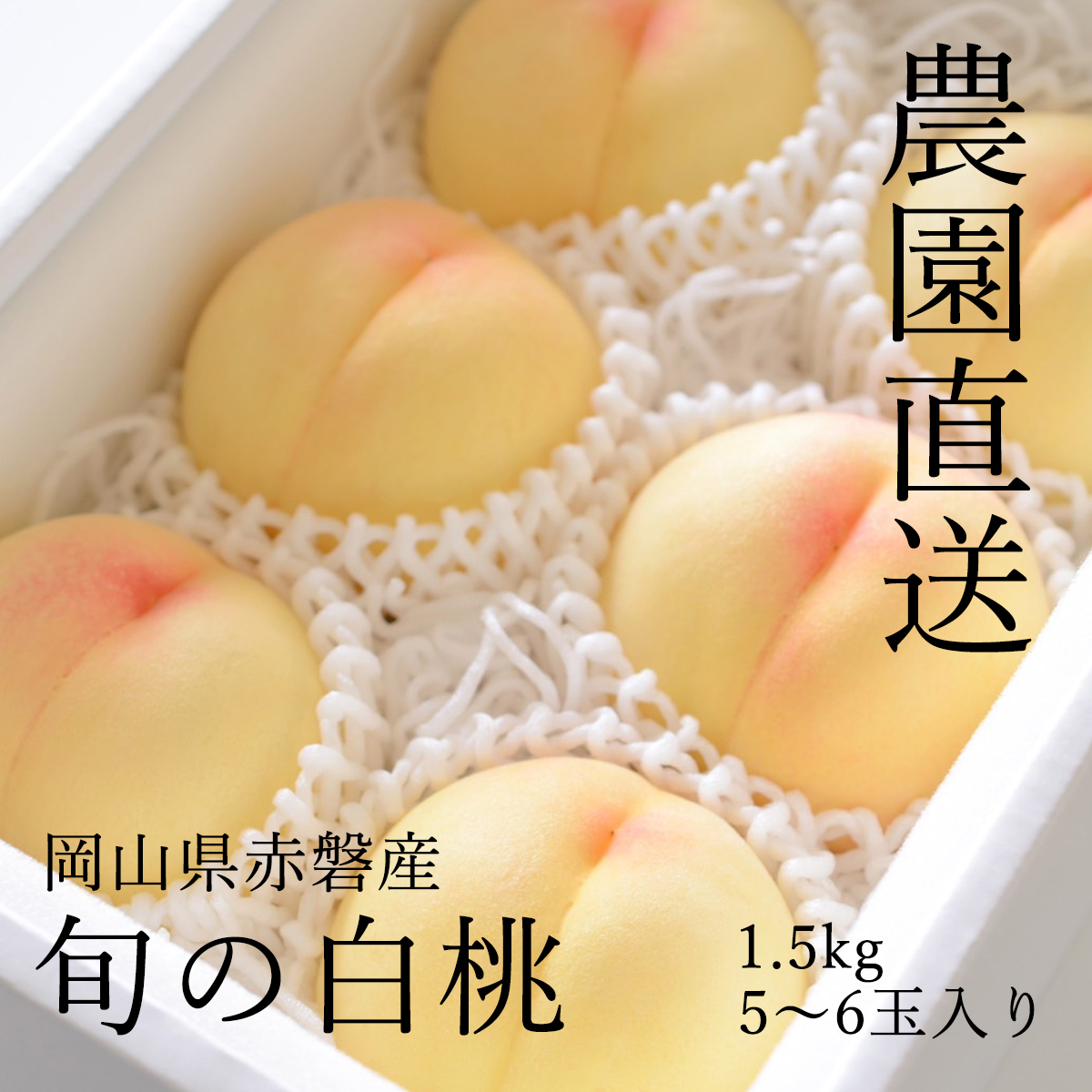【予約受付中 7月上旬から8月下旬に発送】もも 産地直送 岡山県 赤磐産 旬の 白桃 約1.5kg(5~6玉) 【白鳳 清水白桃 おかやま夢白桃 白皇】【返品交換不可 離島配送不可】