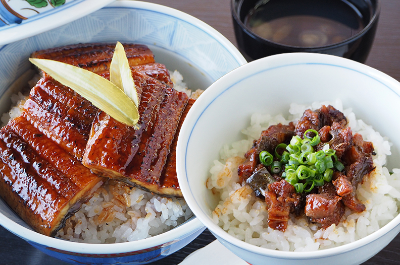 うなぎ 蒲焼き 国産 一色産 カット 50g 10パック きざみ うなぎ 蒲焼 50g 10パック タレ・山椒10袋付 うなぎの兼光