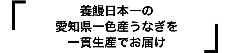 養鰻日本一の愛知県一色産うなぎを一貫生産でお届け