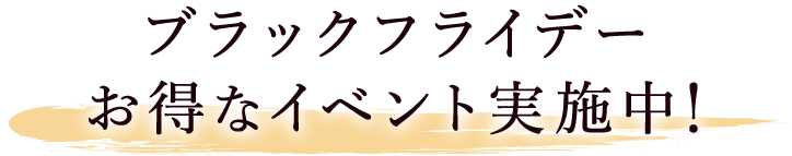 ブラックフライデー お得なイベント実施中!