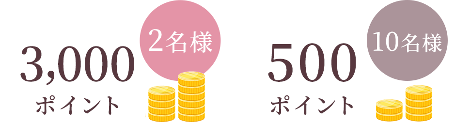 3,000ポイント2名様 500ポイント10名様