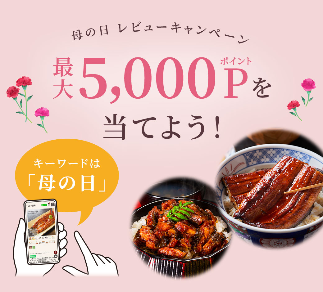 母の日レビューキャンペーン