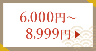 6,000円～8,999円