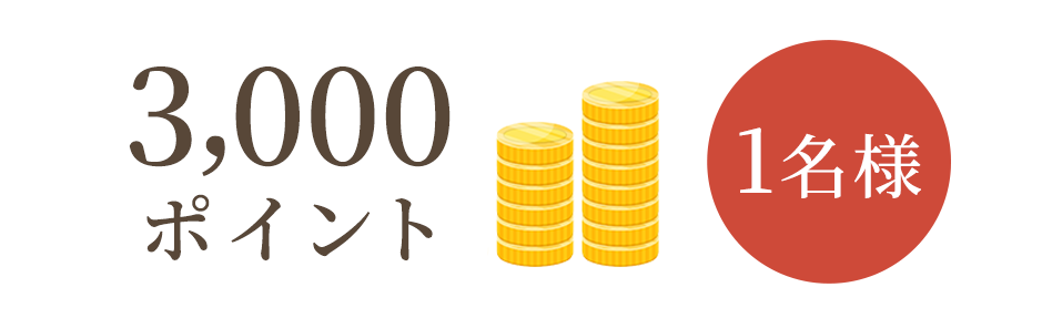 3,000ポイント 1名様