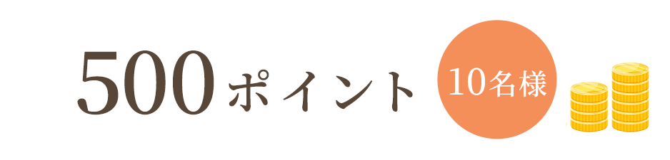 500ポイント 10名様